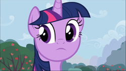 Size: 1669x941 | Tagged: safe, screencap, character:twilight sparkle, character:twilight sparkle (unicorn), species:pony, species:unicorn, episode:the super speedy cider squeezy 6000, g4, my little pony: friendship is magic, apple tree, close-up, female, mare, solo, tree