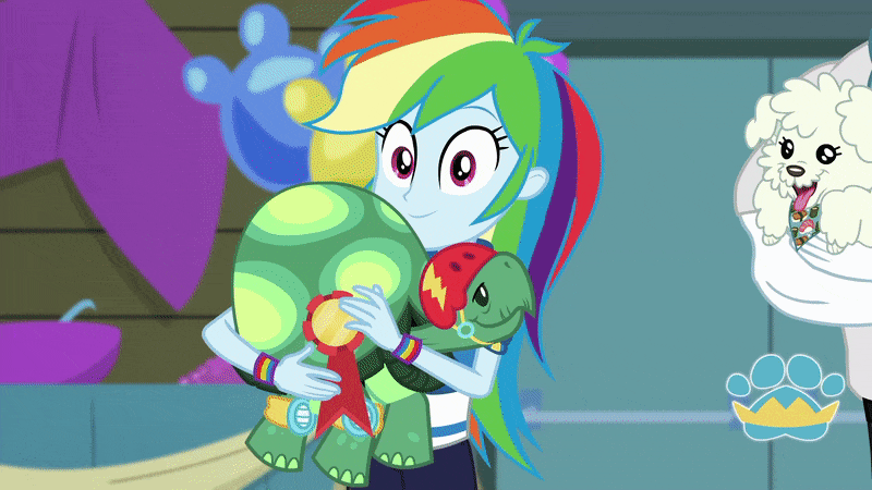 Size: 800x450 | Tagged: safe, screencap, character:bulk biceps, character:rainbow dash, character:tank, episode:best in show: the victory lap, g4, my little pony:equestria girls, animated, interspecies, shipping, tank loves wooyoo, wooyoo