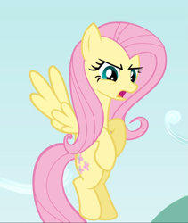 Size: 793x938 | Tagged: safe, screencap, character:fluttershy, species:pegasus, species:pony, episode:putting your hoof down, g4, my little pony: friendship is magic, cropped, female, flying, mare, open mouth, solo, spread wings, wings