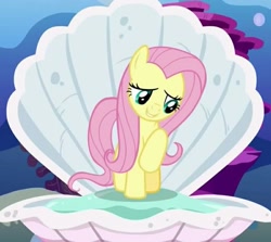 Size: 735x655 | Tagged: safe, screencap, character:fluttershy, species:pony, episode:fame and misfortune, g4, my little pony: friendship is magic, cropped, flawless, ocean, shell, solo
