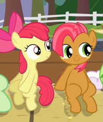 Size: 519x614 | Tagged: safe, screencap, character:apple bloom, character:babs seed, species:earth pony, species:pony, episode:apple family reunion, g4, my little pony: friendship is magic, adorababs, adorabloom, bow, cousins, cropped, cute, female, filly, freckles, hair bow, sitting, smiling
