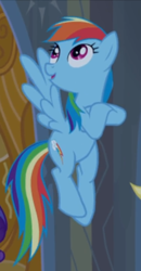 Size: 366x702 | Tagged: safe, screencap, character:applejack, character:rainbow dash, character:rarity, species:earth pony, species:pegasus, species:pony, species:unicorn, episode:castle mane-ia, g4, my little pony: friendship is magic, cropped, crossed hooves, female, flying, looking up, mare, offscreen character, open mouth, smiling