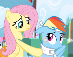 Size: 1196x939 | Tagged: safe, screencap, character:fluttershy, character:rainbow dash, species:pegasus, species:pony, episode:rainbow falls, g4, my little pony: friendship is magic, bandage, bipedal, cropped, female, floppy ears, looking back, mare, wheelchair