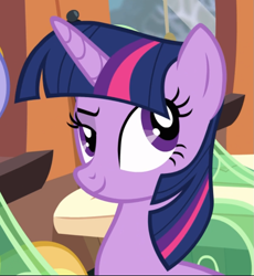 Size: 763x831 | Tagged: safe, screencap, character:twilight sparkle, character:twilight sparkle (alicorn), species:alicorn, species:pony, episode:rainbow falls, g4, my little pony: friendship is magic, cropped, raised eyebrow, smiling, smirk, smug, solo, train