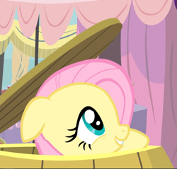 Size: 867x829 | Tagged: safe, screencap, character:fluttershy, species:pegasus, species:pony, episode:filli vanilli, g4, my little pony: friendship is magic, barrel, cropped, cute, female, floppy ears, hiding, mare, peekaboo, shyabetes, smiling