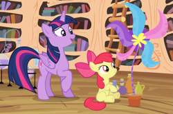 Size: 1329x881 | Tagged: safe, screencap, character:apple bloom, character:twilight sparkle, character:twilight sparkle (alicorn), species:alicorn, species:earth pony, species:pony, episode:twilight time, g4, my little pony: friendship is magic, cropped, female, filly, flower, flower pot, foal, golden oaks library, mare, potion making, raised hoof, sitting, teaching