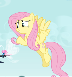 Size: 872x939 | Tagged: safe, screencap, character:fluttershy, character:seabreeze, species:breezies, species:pegasus, species:pony, episode:it ain't easy being breezies, g4, my little pony: friendship is magic, cropped, female, flying, male, mare, shrug, smiling
