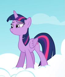 Size: 503x591 | Tagged: safe, screencap, character:twilight sparkle, character:twilight sparkle (alicorn), species:alicorn, species:pony, episode:testing testing 1-2-3, g4, my little pony: friendship is magic, cropped, lidded eyes, smug, solo, standing on a cloud