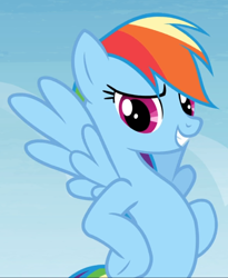Size: 770x938 | Tagged: safe, screencap, character:rainbow dash, species:pegasus, species:pony, episode:trade ya, g4, my little pony: friendship is magic, cropped, female, hooves on hips, mare, smiling, solo, spread wings, wings