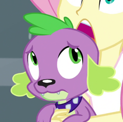 Size: 412x408 | Tagged: safe, screencap, character:fluttershy, character:spike, character:spike (dog), species:dog, equestria girls:dance magic, g4, my little pony:equestria girls, cropped, male, offscreen character, spike's dog collar
