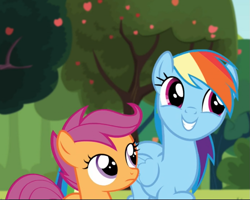 Size: 911x727 | Tagged: safe, screencap, character:rainbow dash, character:scootaloo, species:pegasus, species:pony, episode:brotherhooves social, g4, my little pony: friendship is magic, cropped, cute, dashabetes, duo, female, filly, mare, smiling