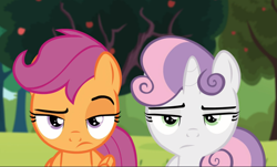 Size: 1507x910 | Tagged: safe, screencap, character:scootaloo, character:sweetie belle, species:pegasus, species:pony, species:unicorn, episode:brotherhooves social, g4, my little pony: friendship is magic, cropped, duo, female, filly, lidded eyes, raised eyebrow, scootaloo is not amused, sweetie belle is not amused, unamused