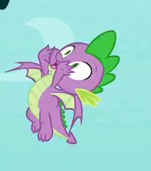 Size: 285x322 | Tagged: safe, screencap, character:spike, species:dragon, episode:molt down, g4, my little pony: friendship is magic, season 8, claws, cropped, flying, male, tail, winged spike, wings