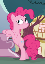 Size: 553x785 | Tagged: safe, screencap, character:pinkie pie, species:earth pony, species:pony, episode:the one where pinkie pie knows, g4, my little pony: friendship is magic, bipedal, bipedal leaning, cropped, female, leaning, mare, nervous grin, solo