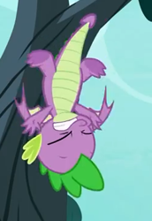 Size: 249x361 | Tagged: safe, screencap, character:spike, species:dragon, episode:molt down, g4, my little pony: friendship is magic, season 8, claws, cropped, eyes closed, male, solo, upside down, winged spike
