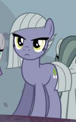 Size: 366x590 | Tagged: safe, screencap, character:limestone pie, character:marble pie, species:pony, episode:hearthbreakers, g4, my little pony: friendship is magic, cropped, offscreen character, solo focus