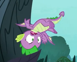 Size: 366x296 | Tagged: safe, screencap, character:spike, species:dragon, episode:molt down, g4, my little pony: friendship is magic, claws, cropped, male, solo, upside down, winged spike