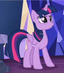 Size: 824x940 | Tagged: safe, screencap, character:twilight sparkle, character:twilight sparkle (alicorn), species:alicorn, species:pony, episode:what about discord?, g4, my little pony: friendship is magic, cropped, sad, solo, teary eyes