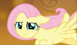 Size: 1680x983 | Tagged: safe, screencap, character:fluttershy, species:pegasus, species:pony, episode:the beginning of the end, g4, my little pony: friendship is magic, confident, cropped, female, floppy ears, flying, looking at you, mare, narrowed eyes, smiling, smirk, solo, spread wings, wings