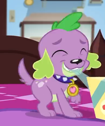 Size: 386x461 | Tagged: safe, screencap, character:spike, character:spike (dog), species:dog, episode:reboxing with spike!, g4, my little pony:equestria girls, cropped, eyes closed, male, paws, smiling, spike's dog collar, tail