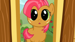 Size: 1152x648 | Tagged: safe, screencap, character:babs seed, species:earth pony, species:pony, episode:one bad apple, g4, my little pony: friendship is magic, :o, adorababs, adorable face, child, clubhouse, crusaders clubhouse, cute, dilated pupils, female, filly, freckles, looking at you, open mouth, solo, wide eyes