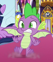 Size: 333x392 | Tagged: safe, screencap, character:spike, character:twilight sparkle, character:twilight sparkle (alicorn), species:alicorn, species:dragon, species:pony, episode:sparkle's seven, g4, my little pony: friendship is magic, claws, cropped, dust, gritted teeth, looking at you, male, offscreen character, screech, shocked, solo focus, spread toes, spread wings, teeth grinding, toes, underfoot, winged spike, wings