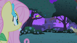 Size: 1280x720 | Tagged: safe, screencap, character:fluttershy, species:bird, species:pony, episode:the best night ever, g4, my little pony: friendship is magic, apple tree, canterlot gardens, female, keel-billed toucan, mare, monkey, spider monkey, toucan, tree, wallaby, wallaroo