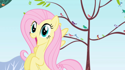 Size: 1280x720 | Tagged: safe, screencap, character:constance, character:fluttershy, species:bird, species:pegasus, species:pony, episode:friendship is magic, g4, my little pony: friendship is magic, blue jay, female, flying, mare