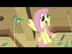 Size: 480x360 | Tagged: safe, screencap, character:fluttershy, species:pony, episode:a bird in the hoof, g4, my little pony: friendship is magic, hummingbird, hummingway