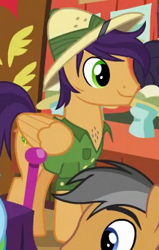 Size: 218x342 | Tagged: safe, screencap, character:endeavour, character:quibble pants, species:pegasus, species:pony, episode:stranger than fanfiction, background pony, clothing, cropped, hat, male, pith helmet, shirt, solo focus, stallion