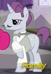 Size: 374x538 | Tagged: safe, screencap, species:pony, species:unicorn, episode:spice up your life, g4, my little pony: friendship is magic, background pony, bow tie, clothing, cropped, discovery family logo, facial hair, male, moustache, raised hoof, shirt, solo focus, stallion, unnamed pony, waiter