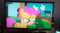 Size: 1280x720 | Tagged: safe, screencap, character:scootaloo, species:pegasus, species:pony, episode:flight to the finish, g4, my little pony: friendship is magic, picture of a screen, sharp, sharp aquos, solo, subtitle, television, text