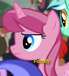 Size: 724x796 | Tagged: safe, screencap, character:cherry spices, character:lyra heartstrings, character:moondancer, character:sea swirl, species:pony, species:unicorn, episode:the cutie re-mark, background pony, cropped, discovery family logo, female, frown, mare, rubine rose, solo focus