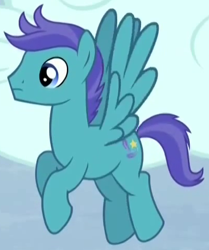 Size: 403x482 | Tagged: safe, screencap, character:open skies, species:pegasus, species:pony, episode:tanks for the memories, g4, my little pony: friendship is magic, background pony, cropped, male, solo, stallion