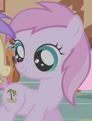 Size: 492x651 | Tagged: safe, screencap, character:alula, character:piña colada, character:pluto, species:earth pony, species:pony, episode:call of the cutie, g4, my little pony: friendship is magic, background pony, cropped, female, filly, foal, pluto, solo focus
