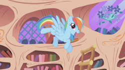 Size: 1280x720 | Tagged: safe, screencap, character:rainbow dash, species:pegasus, species:pony, episode:the ticket master, g4, my little pony: friendship is magic, bookshelf, female, flying, golden oaks library, ladder, mare, solo