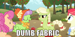 Size: 500x245 | Tagged: safe, screencap, character:apple rose, character:auntie applesauce, character:granny smith, character:sew 'n sow, episode:apple family reunion, g4, my little pony: friendship is magic, angry, clothing, dumb fabric, eyes closed, hat, image macro, laughing, meme, young apple rose, young granny smith