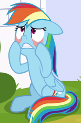 Size: 456x686 | Tagged: safe, screencap, character:rainbow dash, species:pegasus, species:pony, episode:sparkle's seven, g4, my little pony: friendship is magic, cropped, eyelid pull, female, floppy ears, mare, sitting, solo
