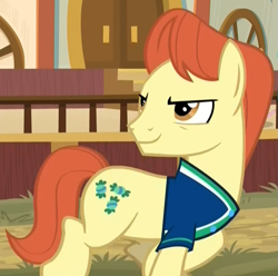 Size: 773x767 | Tagged: safe, screencap, character:sweet strike, species:earth pony, species:pony, episode:common ground, g4, my little pony: friendship is magic, background pony, buckball uniform, clothing, cropped, jersey, looking back, male, running, shirt, smiling, solo, stallion, uniform