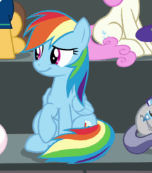 Size: 636x726 | Tagged: safe, screencap, character:caramel, character:rainbow dash, character:star bright, character:twinkleshine, species:pony, episode:common ground, g4, my little pony: friendship is magic, adorkable, animated, bashful, cropped, cute, dashabetes, dork, flapping, rainbow dork, solo focus, sound, webm, wing flap