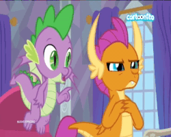 Size: 720x576 | Tagged: safe, screencap, character:smolder, character:spike, species:dragon, episode:sweet and smoky, g4, my little pony: friendship is magic, animated, boop, cartoonito logo, dragoness, dubbing, female, italian, male, sound, webm, winged spike