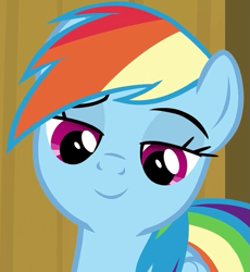 Size: 663x720 | Tagged: safe, screencap, character:rainbow dash, species:pegasus, species:pony, episode:common ground, g4, my little pony: friendship is magic, amused, bust, cropped, female, lidded eyes, looking at something, mare, smiling, solo