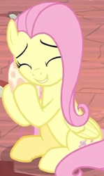 Size: 224x375 | Tagged: safe, screencap, character:fluttershy, species:pegasus, species:pony, episode:sweet and smoky, g4, my little pony: friendship is magic, cropped, cute, egg, female, fluttermom, hug, mama fluttershy, mare, shyabetes