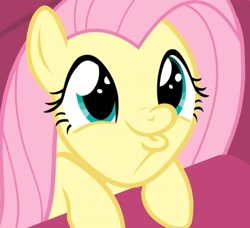 Size: 1149x1046 | Tagged: safe, screencap, character:fluttershy, species:pony, episode:sweet and smoky, g4, my little pony: friendship is magic, cropped, cute, dashface, faec, female, mare, shyabetes, solo
