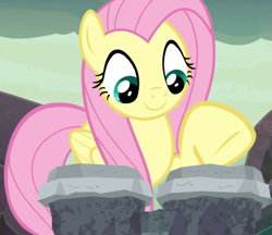 Size: 1249x1080 | Tagged: safe, screencap, character:fluttershy, species:pegasus, species:pony, episode:sweet and smoky, g4, my little pony: friendship is magic, bongos, cropped, female, mare, raised hoof, solo