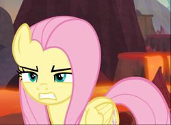 Size: 1293x939 | Tagged: safe, screencap, character:fluttershy, species:pegasus, species:pony, episode:sweet and smoky, g4, my little pony: friendship is magic, angry, badass, cropped, determined, female, flutterbadass, gritted teeth, mare, narrowed eyes, solo