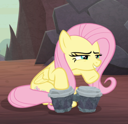 Size: 782x758 | Tagged: safe, screencap, character:fluttershy, species:pegasus, species:pony, episode:sweet and smoky, g4, my little pony: friendship is magic, bongos, cropped, female, mare, narrowed eyes, smiling, smirk, smug, smugshy, solo