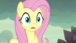 Size: 1920x1080 | Tagged: safe, screencap, character:fluttershy, species:pony, episode:sweet and smoky, g4, my little pony: friendship is magic, solo