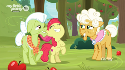 Size: 1920x1080 | Tagged: safe, screencap, character:apple bloom, character:goldie delicious, character:granny smith, species:earth pony, species:pony, episode:going to seed, g4, my little pony: friendship is magic, adorabloom, apple, apple tree, cute, excited, female, filly, foal, food, hoofy-kicks, mare, rearing, smiling, sweet apple acres, tree, trio