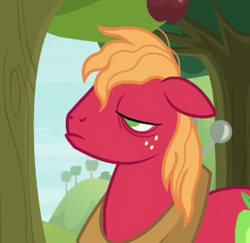 Size: 293x285 | Tagged: safe, screencap, character:big mcintosh, species:pony, episode:going to seed, g4, my little pony: friendship is magic, bags under eyes, cropped, male, messy mane, mid-blink screencap, solo, stallion, sweet apple acres